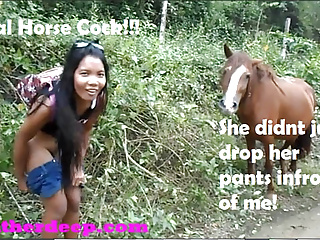 Thai Teen Peru To Ecuador Horses To Creampies free video